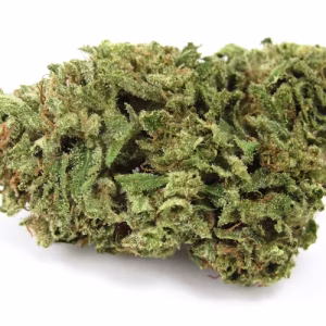 la bomba strain