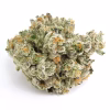 garlic cookies strain