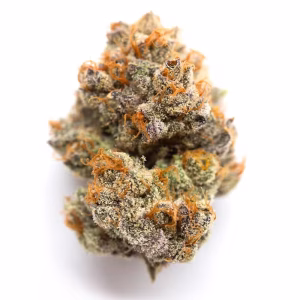 Buy garlic icing strain 1
