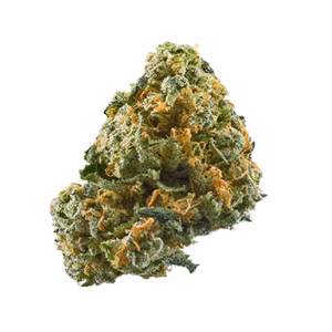 buy triple scoop strain 6