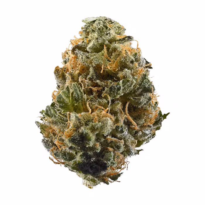 strain-15