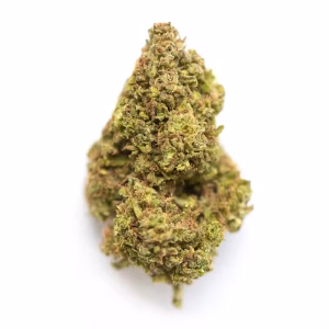 pure michigan strain