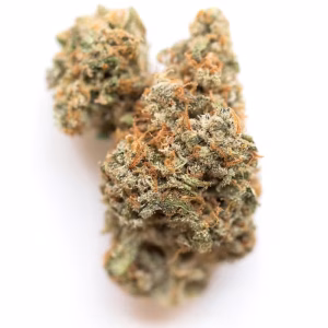 Buy ogkb strain 1