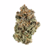 buy blockberry strain 2