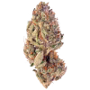 buy grandi guava strain 1