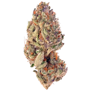 buy grandi guava strain 1