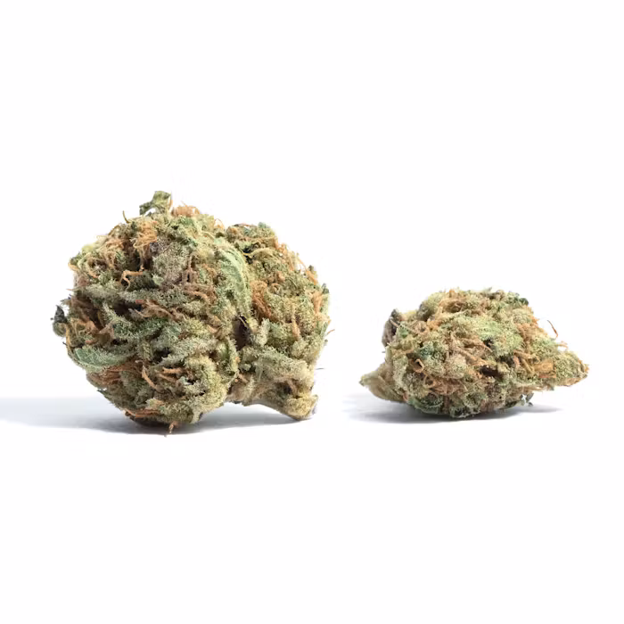 strain-26