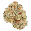 GELATO CAKE