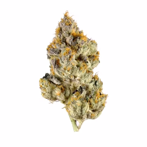 buy pluto strain 1
