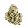 Buy berry pie strain 1