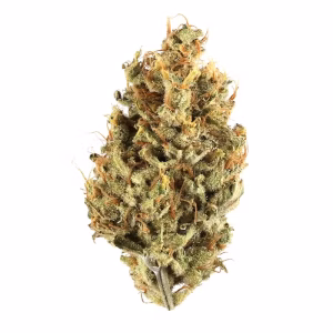 buy duct tape strain 1