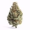 Buy legend og strain 1