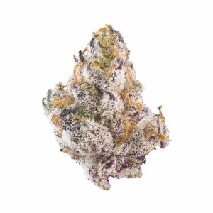Buy french laundry strain 1