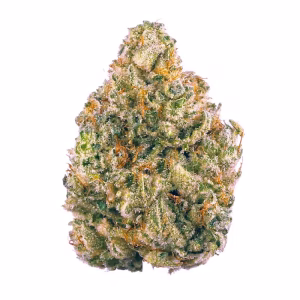 banana cream cake x jealousy strain