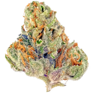 Buy frosty gelato strain 1