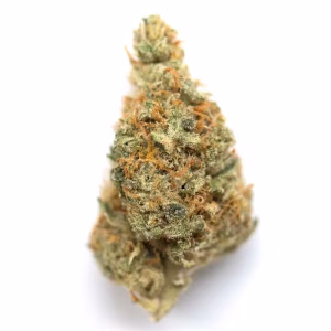 Buy grape kool aid strain 1