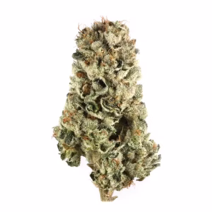 great divide strain