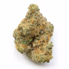 melon gum