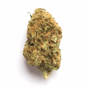 monkey mints