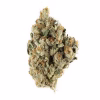 pink kitty strain