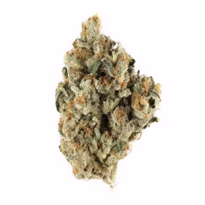 pink kitty strain