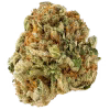 puro loco strain