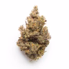 buy apple runtz strain 1