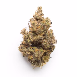 buy apple runtz strain 1