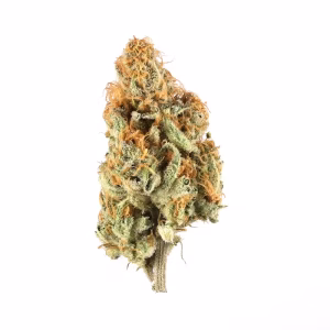 ice cream cookies strain