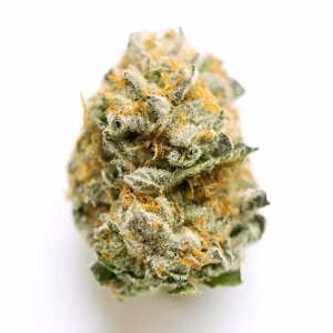 Buy gelato cream strain 1