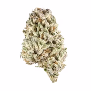 zookie strain