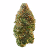 Buy peach ringz strain 1
