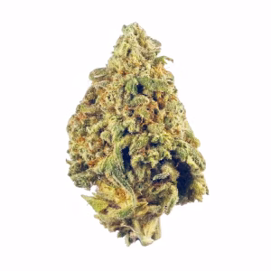 el chapo og strain