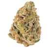 sugar tart strain