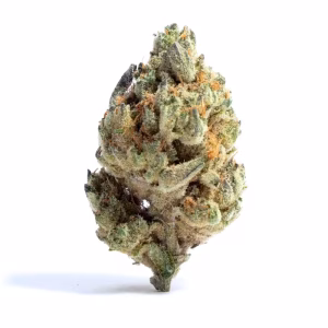 unicorn breath